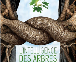 Affiche-L-Intelligence-des-arbres