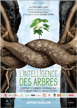 Affiche-L-Intelligence-des-arbres