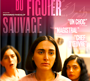 Affiche-film-"Les-Graines-du-figuier-sauvage"