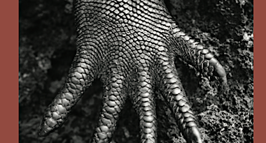 Affiche-expostition-Sebastião-Salgado