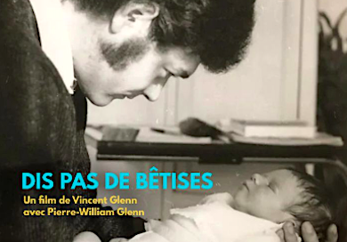 "Dis pas de bêtises" affiche du film