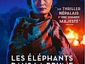 Affiche-22Les-Éléphants-dans-la-brume22