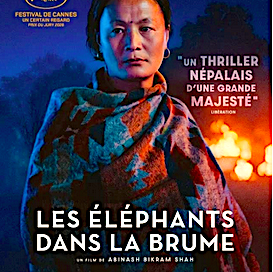 Affiche-22Les-Éléphants-dans-la-brume22